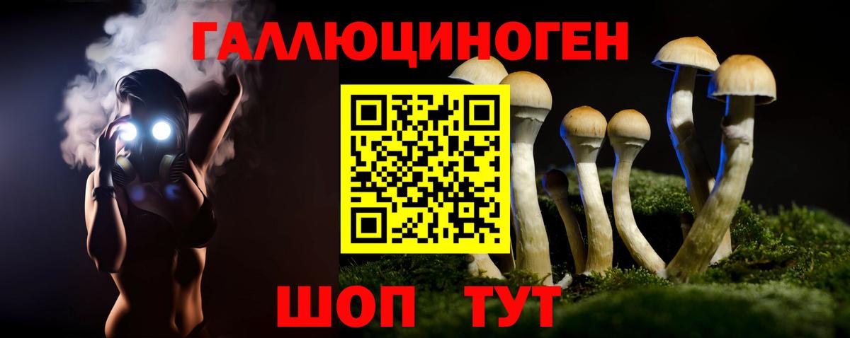 Псилоцибиновые грибы GOLDEN TEACHER  Псилоцибиновые грибы GOLDEN TEACHER  Кинель  Вход с VPN 